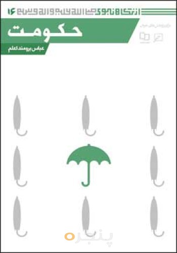 از نگاه نبوی(جلد16): حکومت