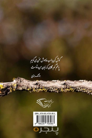 پوپک