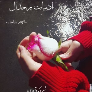 کتاب ادبیات پرجدال