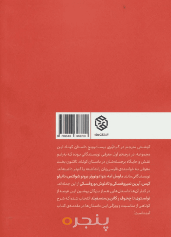 مردی که از دیوارها عبور می‌کرد 