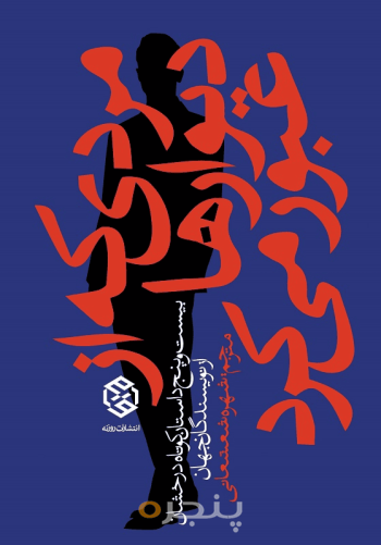 مردی که از دیوارها عبور می‌کرد 