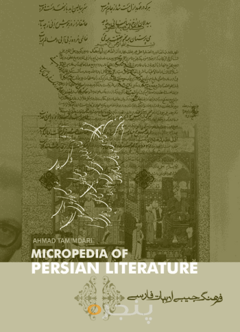 فرهنگ جیبی ادبیات فارسی