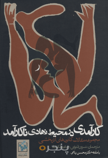 کارآمدی در محیط نهادی ناکارآمد