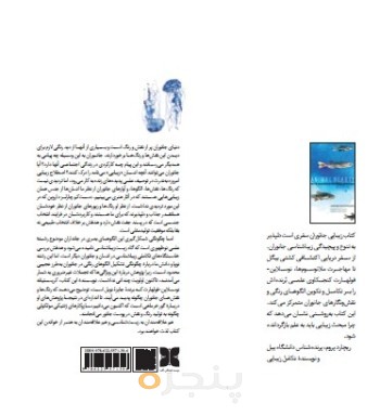 زیبایی جانوران
