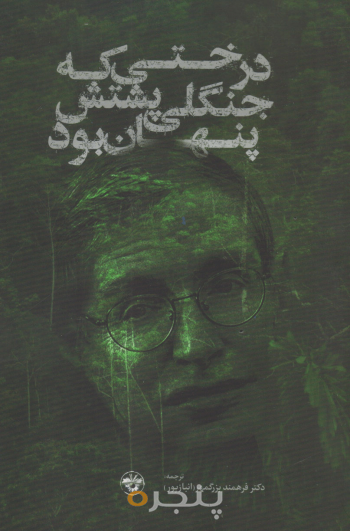 درختی که جنگلی پشتش پنهان بود