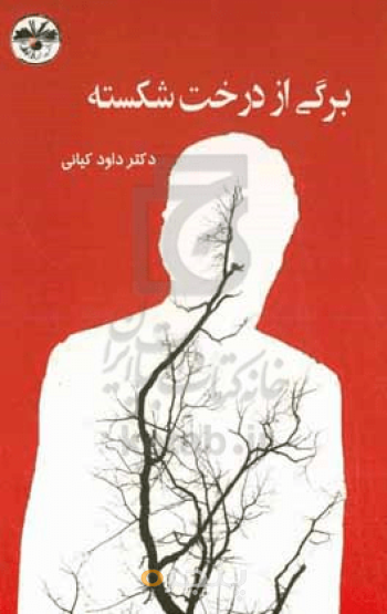 برگی از درخت شکسته