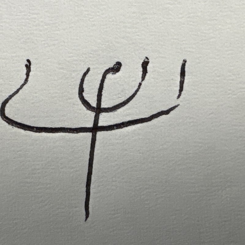ایمان زارع