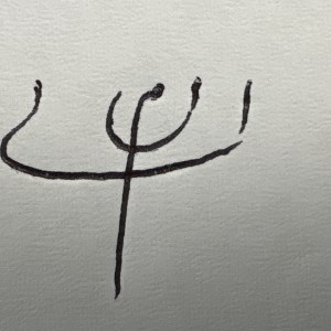 ایمان زارع