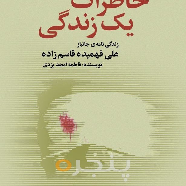 خاطرات یک زندگی الکترونیکی
