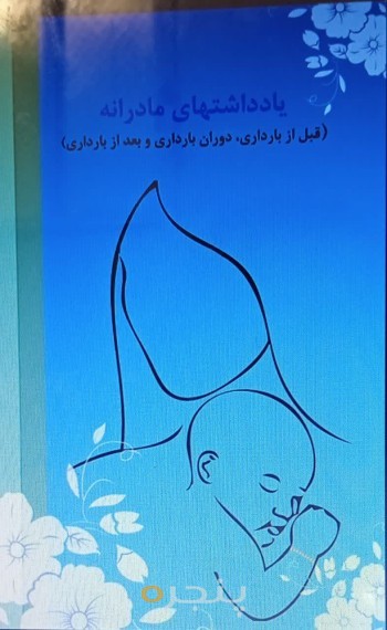 یادداشت های مادرانه الکترونیکی