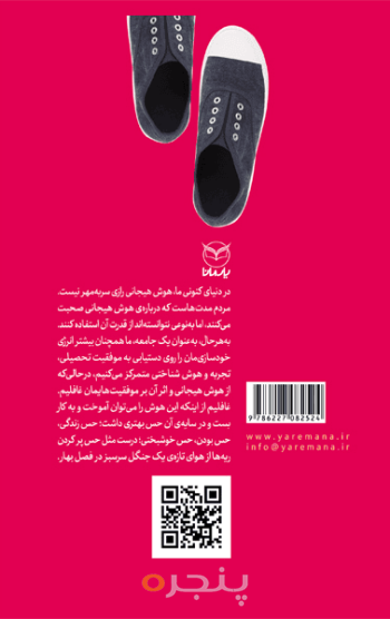 هوش هیجانی بزرگسال - مهارتهای خلق عمومی
