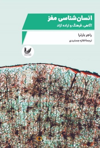 انسان شناسی مغز