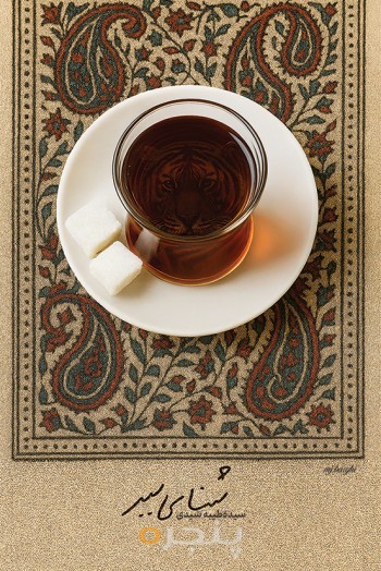 شنای ببر