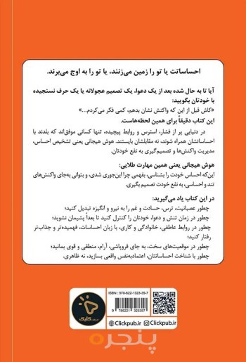 هوش هیجانی
