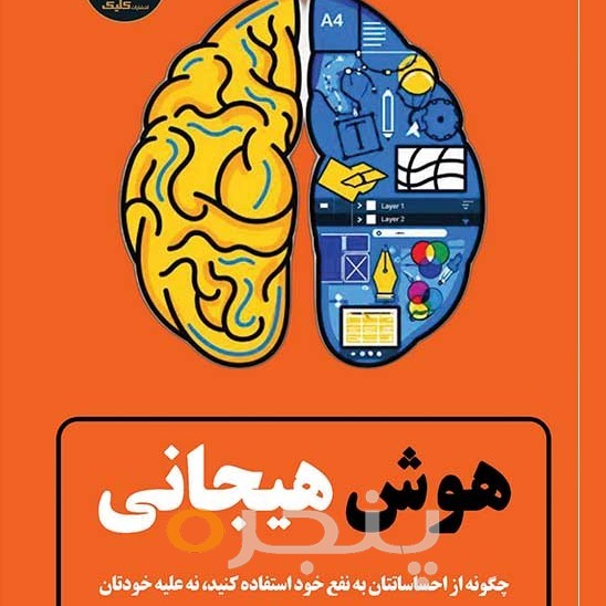 هوش هیجانی