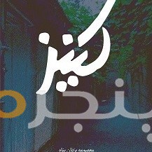 کنیز الکترونیکی